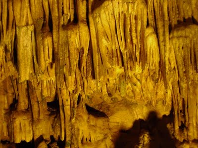Bärenhöhle
